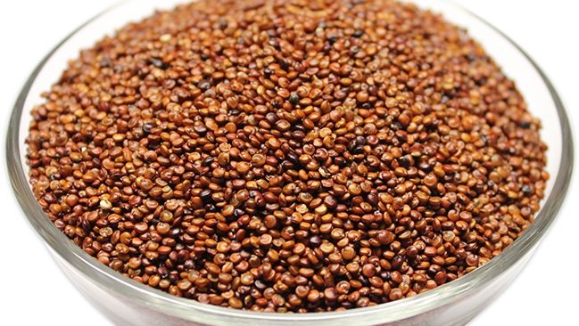 Red quinoa grain close-up